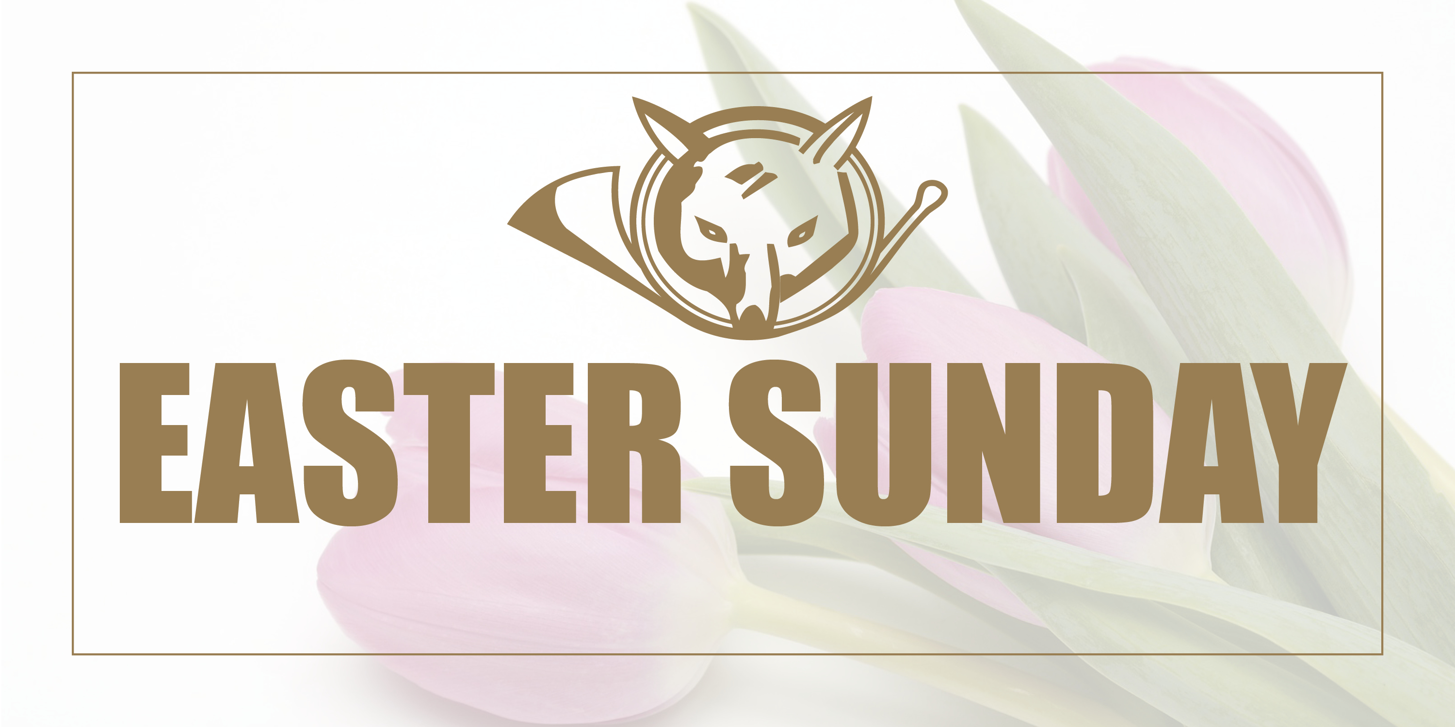 Easter Sunday Header 2024