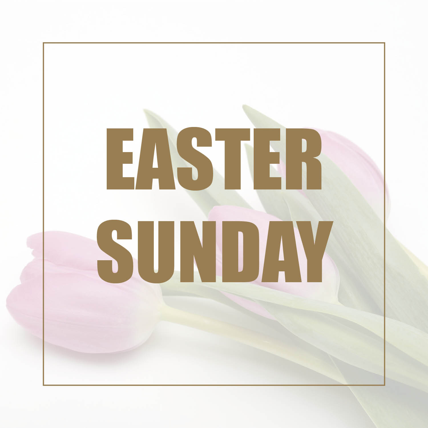 Easter Sunday