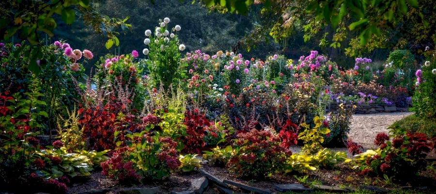 Planting Fields Arboretum